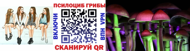 Купить закладки  Ейск  Псилоцибиновые грибы GOLDEN TEACHER 